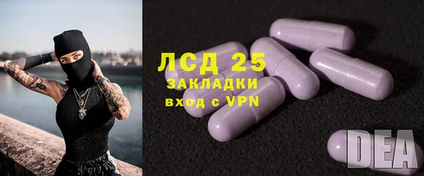 стаф Ростов