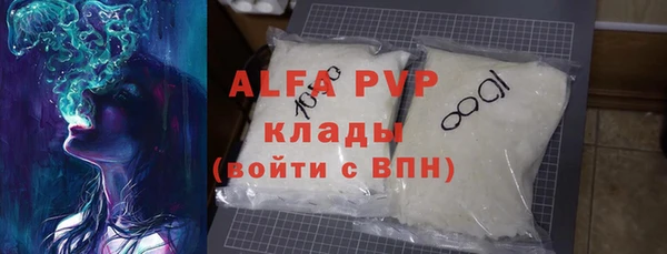 стаф Ростов
