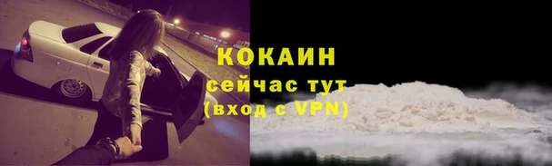 тгк Приозерск