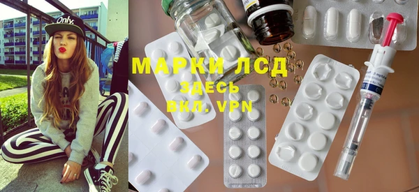стаф Ростов
