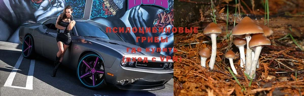 кокаин колумбия Россошь