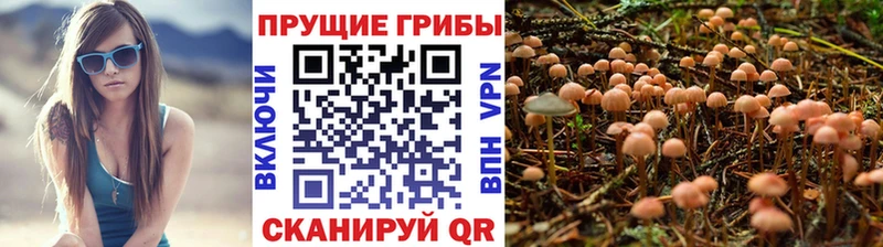 Псилоцибиновые грибы мухоморы Великие Луки