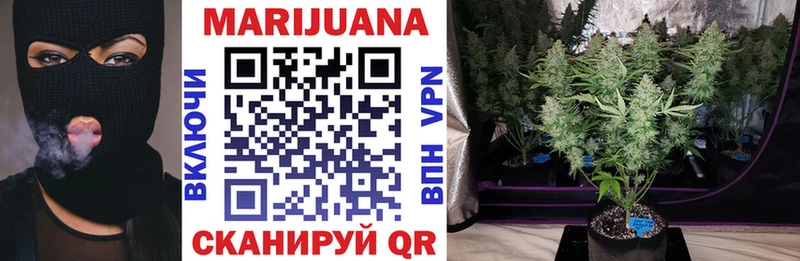 Канабис гибрид  блэк спрут зеркало  Великие Луки 
